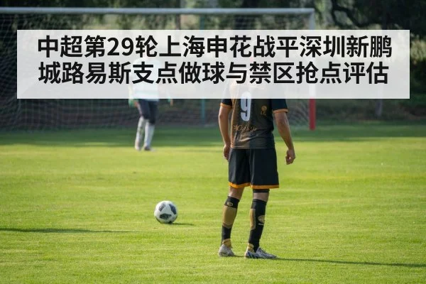 中超第29轮上海申花战平深圳新鹏城路易斯支点做球与禁区抢点评估