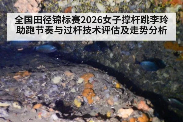 全国田径锦标赛2026女子撑杆跳李玲助跑节奏与过杆技术评估及走势分析